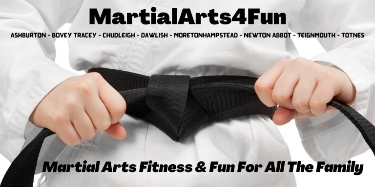 MartialArts4Fun - schools of excellence - Main Website Header - Ashburton, Bovey Tracey, Chudleigh, Dawlish, Moretonhampstead, Newton Abbot, Teignmouth & Totnes